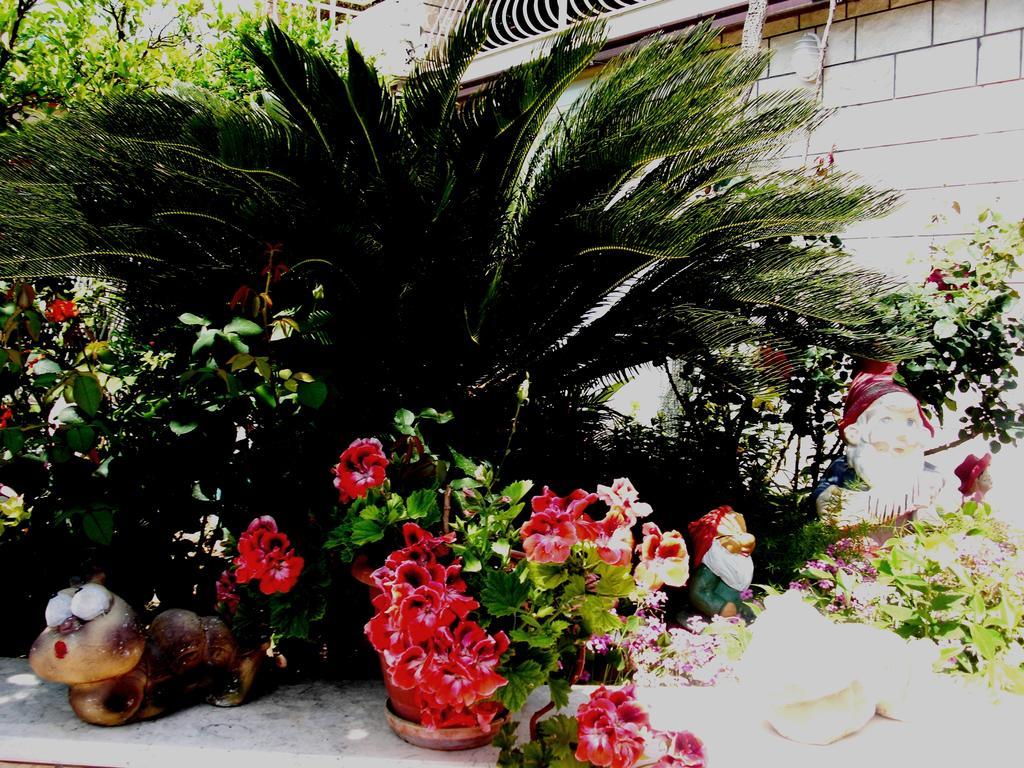 House Jelena Hotel Mlini Kültér fotó